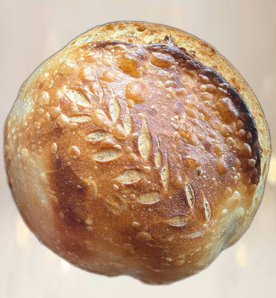 Plain Sourdough