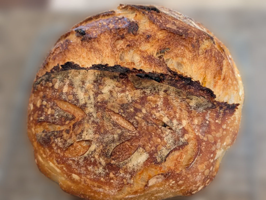 Chocolate Chip Sourdough - Mini